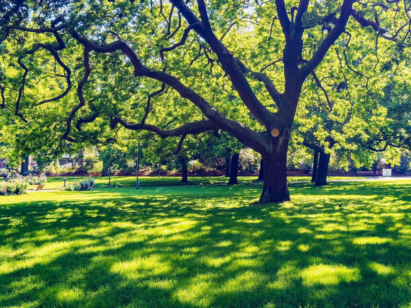 City Park, Launceston